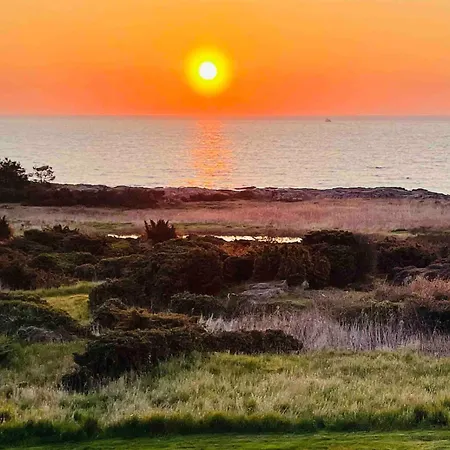Wildernest Bornholm - Svanen