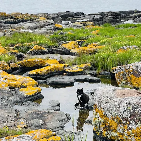 Wildernest Bornholm - Svanen Lejlighed