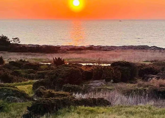 Wildernest Bornholm - Svanen