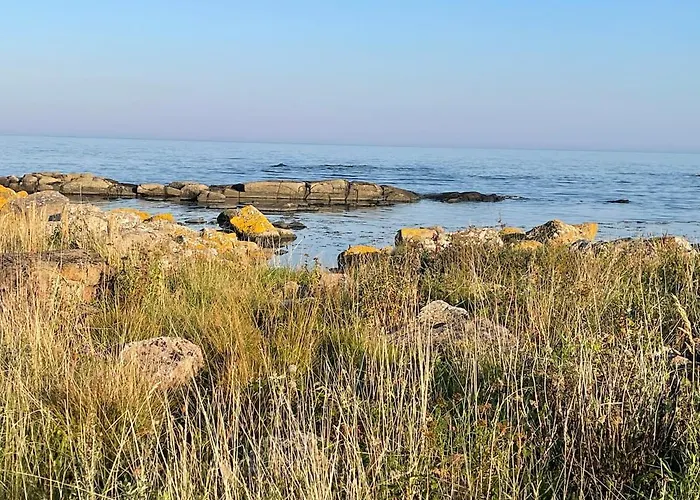 Wildernest Bornholm - Svanen * 内克瑟